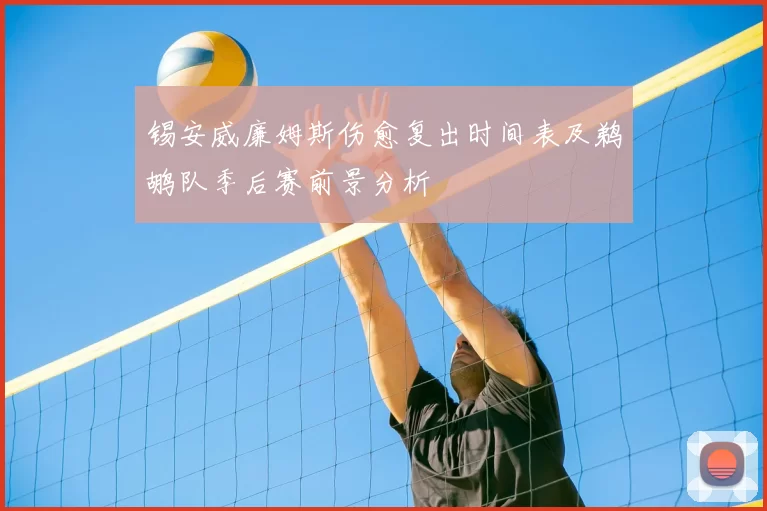 锡安威廉姆斯伤愈复出时间表及鹈鹕队季后赛前景分析