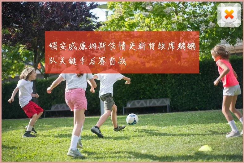 锡安威廉姆斯伤情更新将缺席鹈鹕队关键季后赛首战