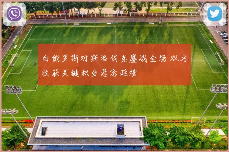白俄罗斯对斯洛伐克鏖战全场 双方收获关键积分悬念延续