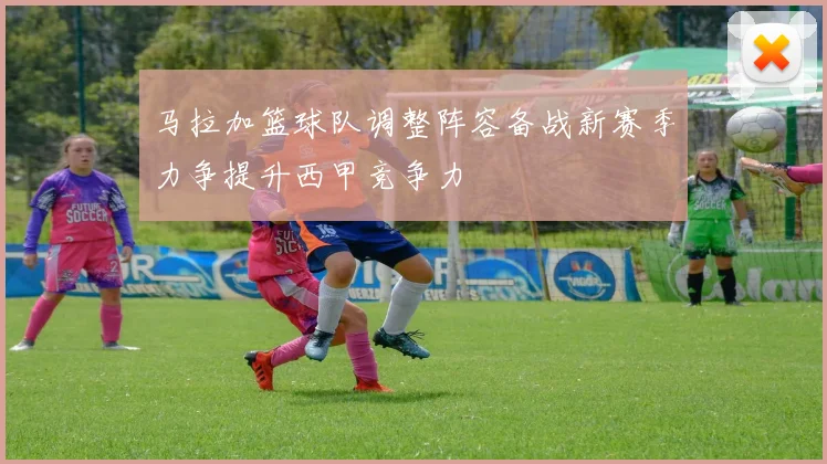 马拉加篮球队调整阵容备战新赛季力争提升西甲竞争力