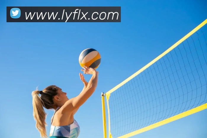 滚球官网app服务体系