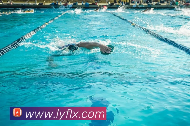 奖项证书